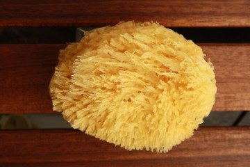 natural sponge for baby bath, yellow