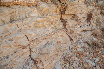Petrified tree in a rock in Crete.