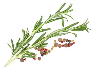 Fresh rosemary with peppercorns isolated on white background, closeup.
