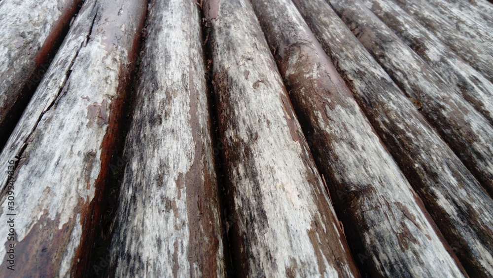 Poster the effect of moisture on wood. a construction log for use in construction without longitudinal sawi