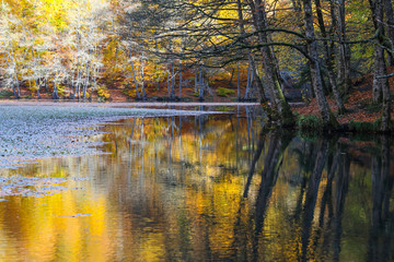 Derin Lake in Yedigoller National Park, Bolu, Turkey