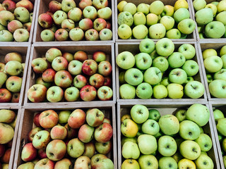 red and green apples in baskets as a background for eating