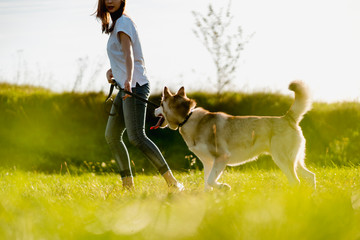 Young woman running with her dog on a meadow