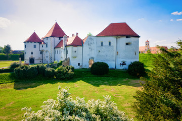 Fototapeta na wymiar Castle on Street at Old city of Varazdin in Croatia