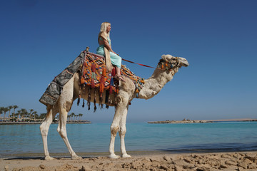 Eine blonde Frau in einem Kleid sitzt auf einem Kamel, Hintergrund türkisblauer Ozean, Strand und...