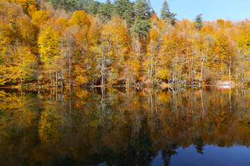 Buyuk Lake in Yedigoller National Park, Bolu, Turkey