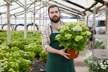 Portrait of male gardener with blooming flower who is taking care of them in orangery