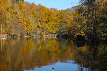 Buyuk Lake in Yedigoller National Park, Bolu, Turkey