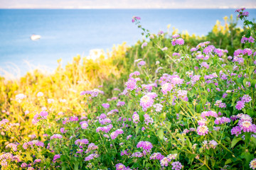 Obraz premium amazing summer landscape of Crete, Greece