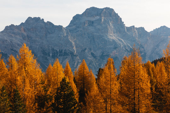 Autumn mountain landscape at the morning light, Dolomites, Cortina, Italy