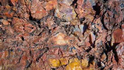 Petrified Forest National Park. Arizona. USA.