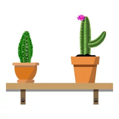 Fotobehang Cactus in pot 2 potted cactus plants in nice colorful flower pots against white wall. House plants on woden shelf isolated on white