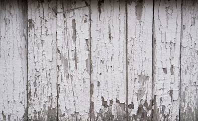 The white wood texture with natural patterns background. Dirty concrete texture with cracks and holes.