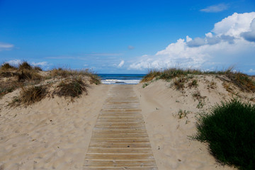 Fototapeta na wymiar Natural protected area in Oliva Valencia, Spain. Sand dunes beach and wooden walkaway. 
