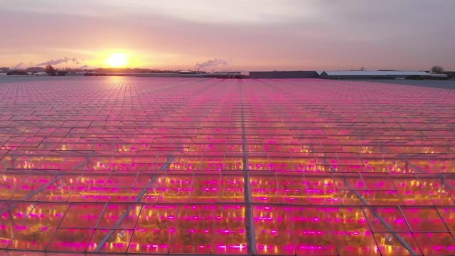 aerial view of modern agricultural greenhouses in the Netherlands that uses LED lights to support the growth of the plants