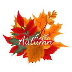 Abstract Vector Illustration Background with Falling Autumn Leaves