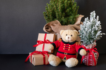 Teddy bear and traditional Christmas plants-picea glauca Conica tree, Chamaecyparis lawsoniana Ellwoodii cypress tree, gifts on the black background-New Year greeting card concept.