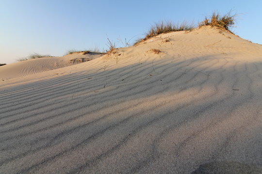 dune
