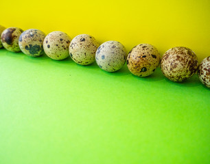 Quail eggs in a row on a yellow and green background. Easter concept, copy space