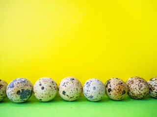 Quail eggs in a row on a yellow and green background. Easter concept, copy space