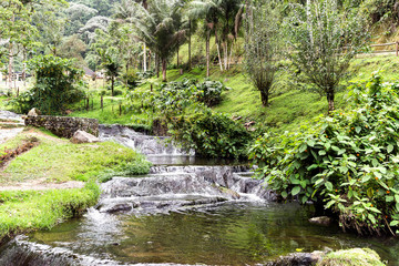 Fototapeta na wymiar Natural Landscapes of Santa Rosa de Cabal in Risaralda, Colombia.
