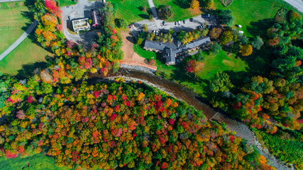 Autumn gold color forest aerial view.