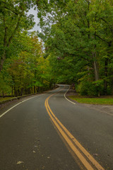 Fototapeta na wymiar Road in forest. Tennessee. USA