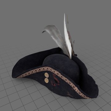 Pirate hat 2