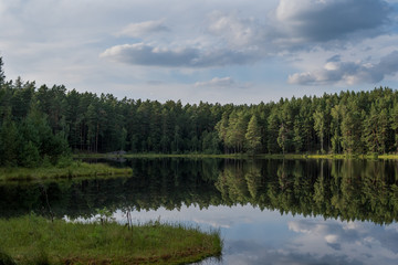 forest reflection in calm water of dystrophic lake