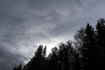 Obraz premium Dramatic northern scandinavian cloudy sky. Cold northern europe. Nature dark forest silhouette and sun from clouds