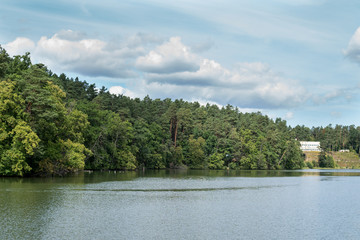 Fototapeta na wymiar forest on a lake shore