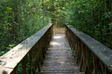 Fototapeta na wymiar small wooden bridge inside of a forest
