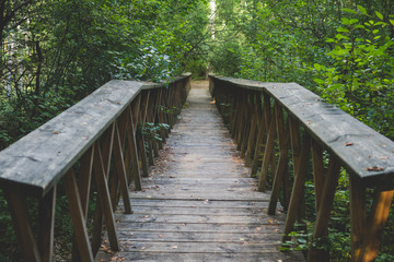 Fototapeta na wymiar small wooden bridge inside of a forest