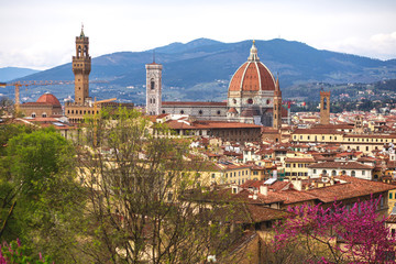 Fototapeta premium View of Boboli Gardens in Florence, Italy, with sculptures, blooming trees and flowers