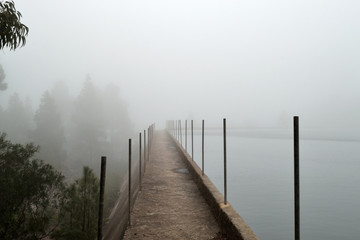water reservoir surrounded by fog over a forest