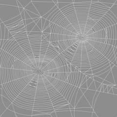 spider web seamless vector texture