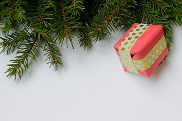 fir branch with red gift box on white isolated background
