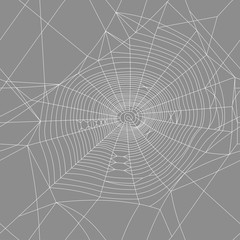 spider web seamless vector texture