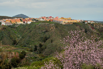Landscape of the interior of the island of Gran Canaria, Canary Islands