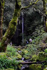 Hikers exploring a forest with a waterfall on the island of Gran Canaria