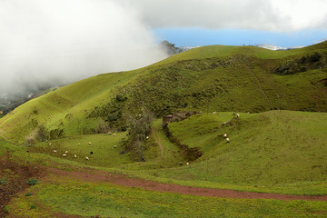 Landscape of a mountain road surrounded by grass and the sea in the background