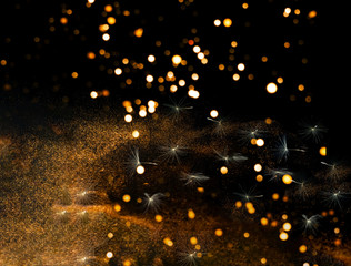 Naklejka premium White inflorescences Dandelion on Black background with golden sparkles. Blurred effect. Concept for festive background or for project.Close-up