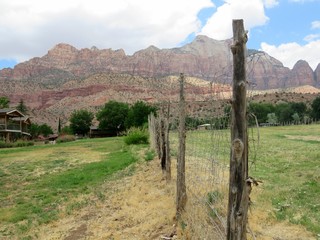 Fototapeta na wymiar Fence posts along land with mountains in background at Zion National Park in Utah