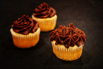 Vanilla cupcakes with chocolate frosting