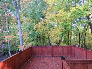 View of forest in backyard from upper deck in redwood stain