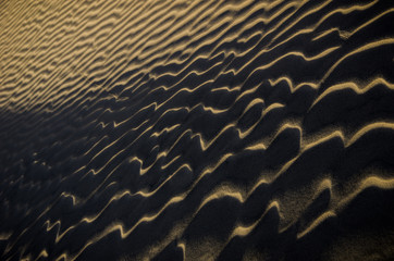 Ripples in the Sand
