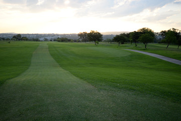 The greens on a Johannesburg golf course