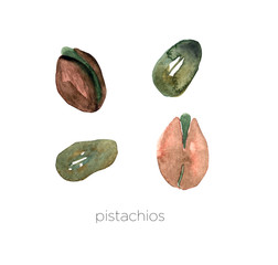 Naklejka premium Set of watercolor pistachios hand painted isolated on a white background.Nuts ideal for packaging, cosmetics, logo, advertising.