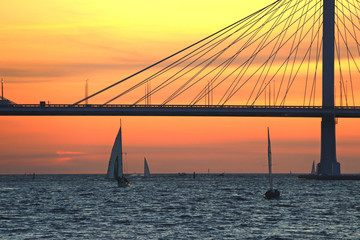 observation deck on the shore with a view of the cable-stayed bridge and sunset