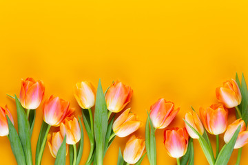 Naklejka premium Żółte pastele barwią tulipany na żółtym tle.